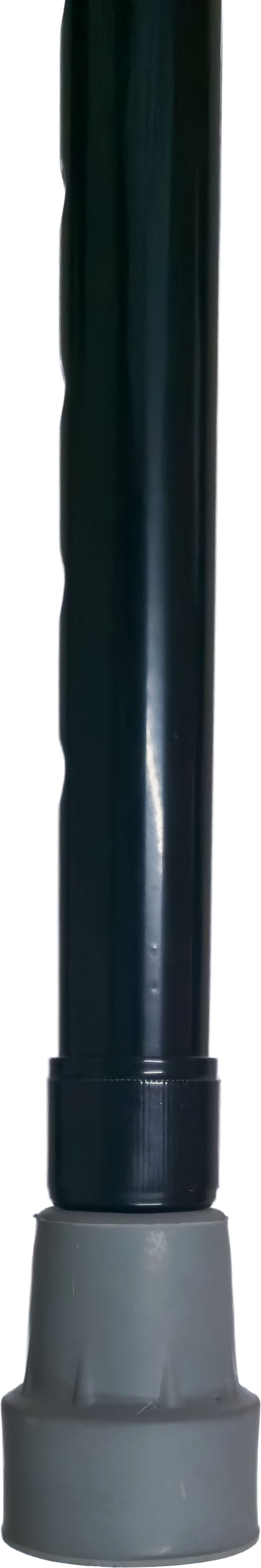 Bengala Freedom Elegance