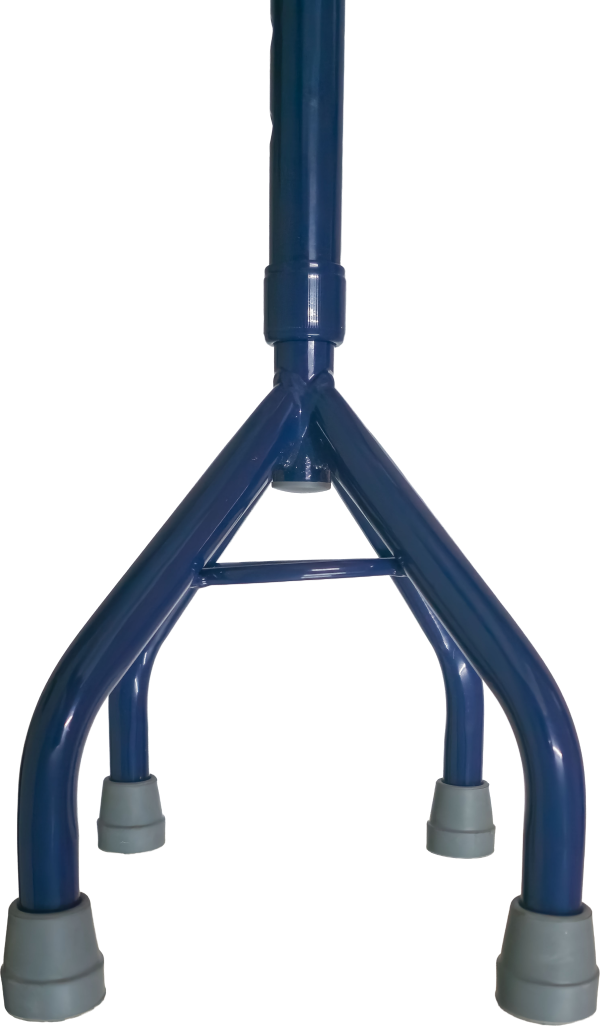 Bengala Freedom Force