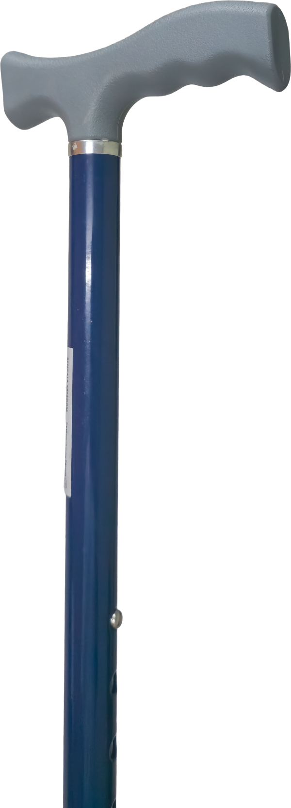 Bengala Freedom Force