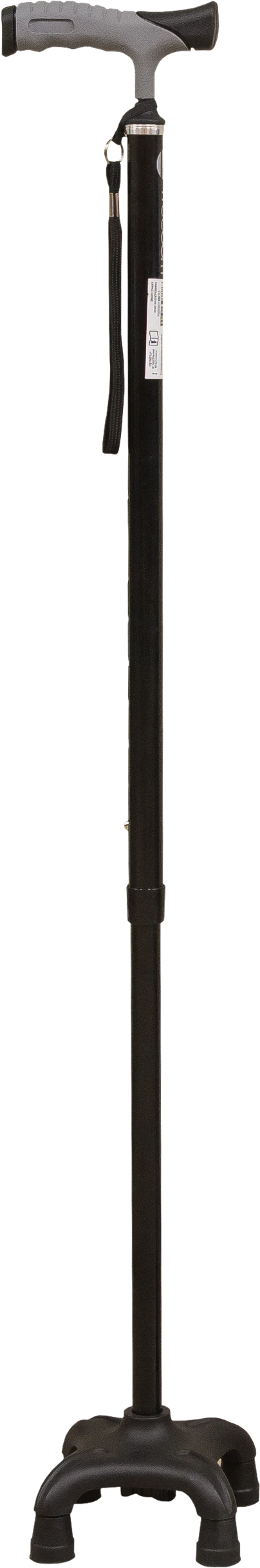 Bengala Flex